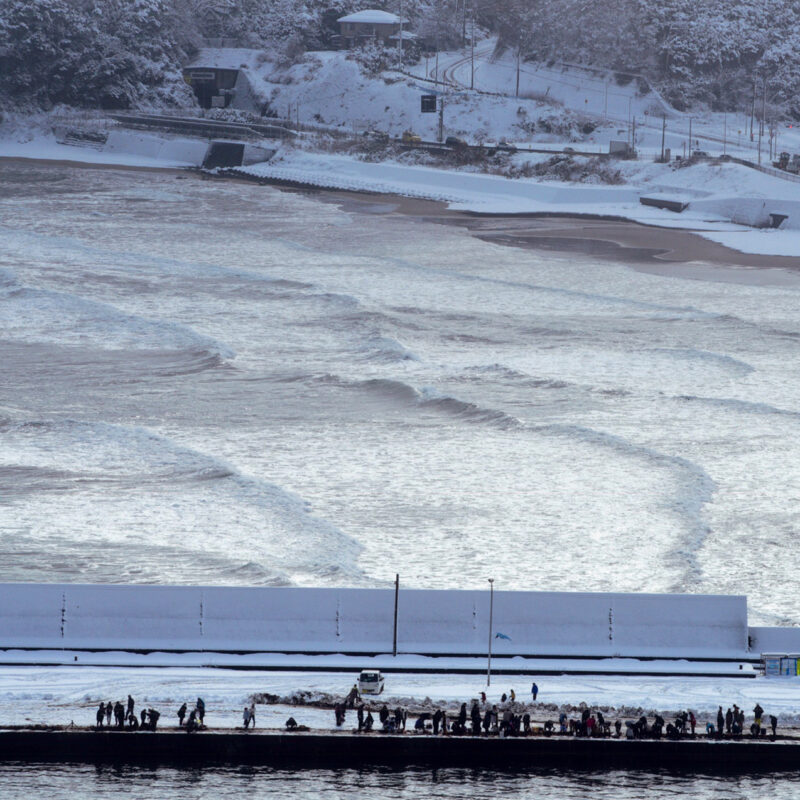 審査発表：KETAKA OSHI-K PHOTOGRAPH CONTEST